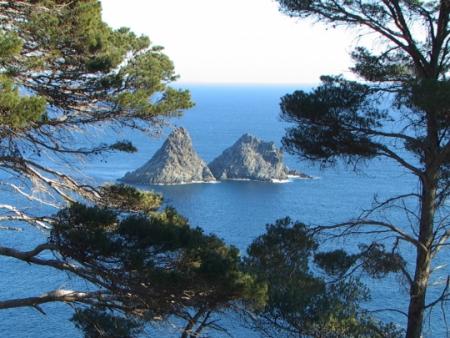 Jolie vue